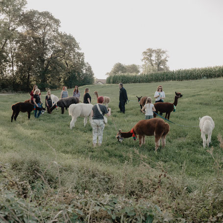 Team in der Natur während des Teambuildings