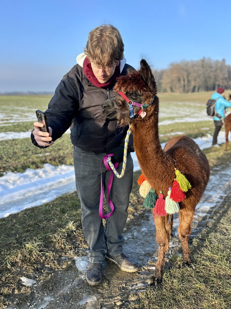 Person macht ein einzigartiges Selfie mit Alpaka auf der Wanderung bei München.