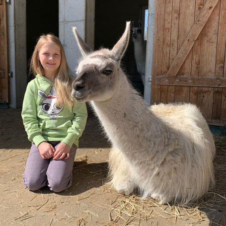 Kind mit Lama in einem ruhigen Moment beim Kindergeburtstag