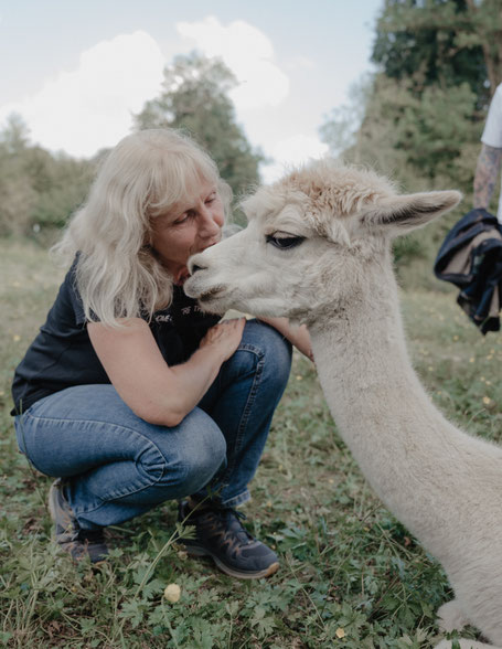Teilnehmende sitzen entspannt auf der Weide und beobachten Alpakas und Lamas beim Feiertags‑Event ‚Glück und los!‘.