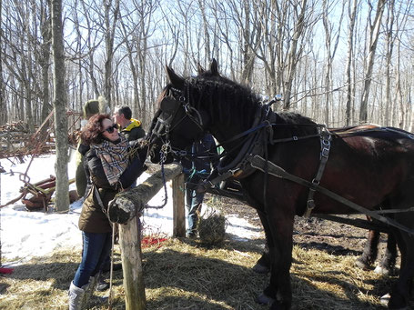 voyage-quebec-incontournable