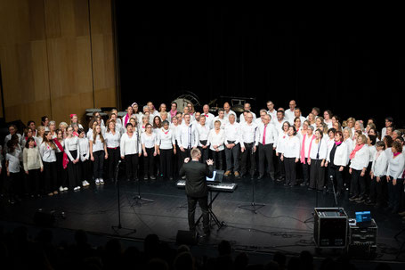 Ecole de musique EMC à Crolles - Grésivaudan : concert des VMC