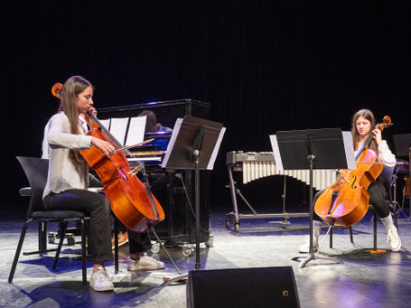 Ecole de musique EMC à Crolles - Grésivaudan : cours individuel de violoncelle