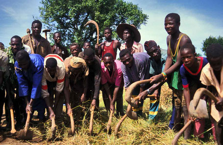 Labour collectif. © P. Kersalé 1999-2024.