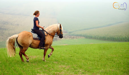 Anna und ihr Pferd bei einem Ritt auf der Wiese