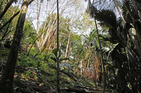 Seychelles Praslin Mahé