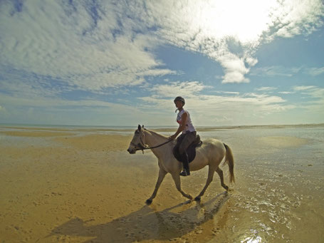 Afrique du Sud / Mozambique Benguerra Island / Bazaruto.