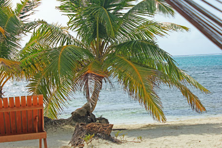 Belize, Hidden Valley Inn,  atm, isla bonita,Hol Chan Marine Park, san pedro, ambergris caye.