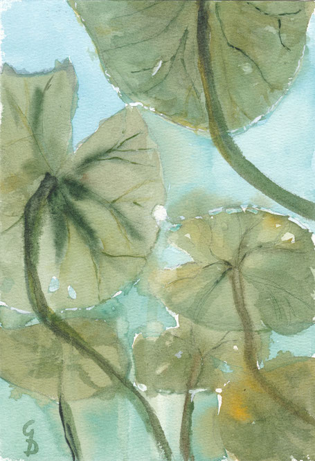 Unter Wasser, A4, 150€