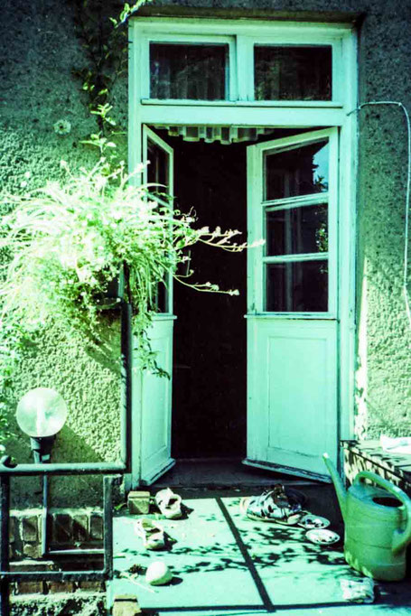 Open door to the garden.