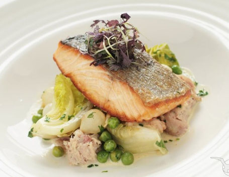 Gourmetreisen mit nicko cruises 2026 