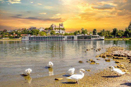 Rheinschiff und Gänse 2026 