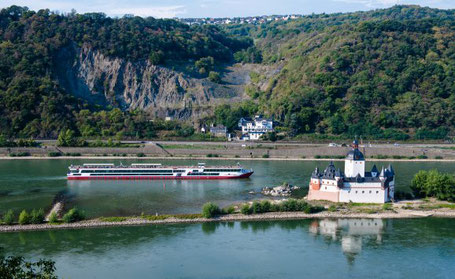 MS Rhein Symphonie auf dem Rhein 2026 
