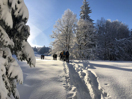 Geführte Wanderung & Schneeschuhtour