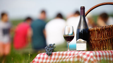 Day tour to Loire Valley from Paris