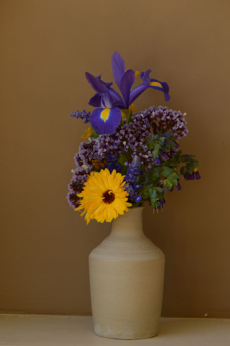 small sunny garden, desert garden, amy myers, photography, garden photography, in a vase on monday, iavom, monday vase, iris, dutch, blue magic, stoneware, pottery, ceramics, calendula, limonium perezii