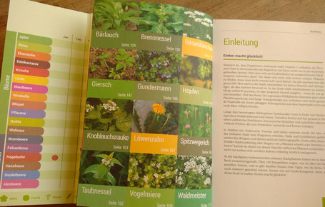 Deine Stadt ist essbar Beispielseite
