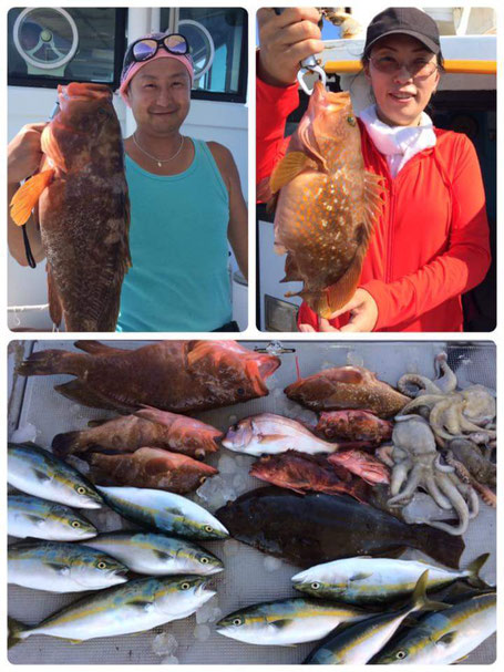 淡路島 釣り船 小溝丸　喰わせサビキ　ツバス アコウ ヒラメ タコ