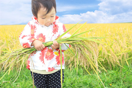 子どもへの旅行の効果