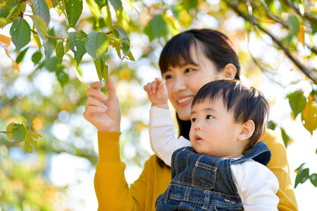 子どもの言葉の発達の段階