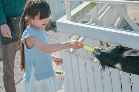 子どもへの旅行の効果