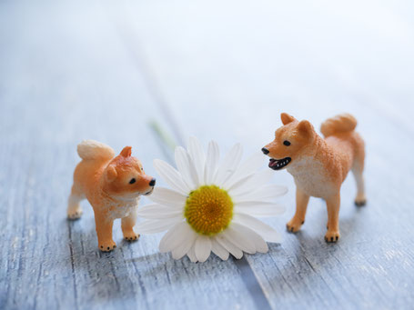シュライヒのフィギュアの魅力