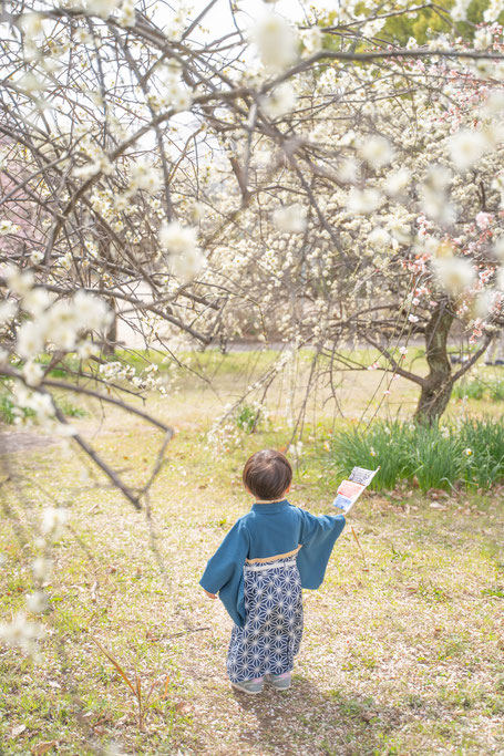 端午の節句　子どもの日　違いは？