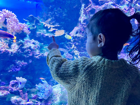 1歳の誕生日　外出してお祝い