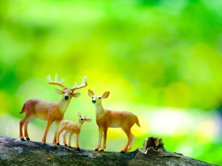 シュライヒのフィギュアの魅力