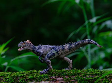 シュライヒのフィギュアの魅力