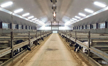 Blick in einen modernen Tierstall