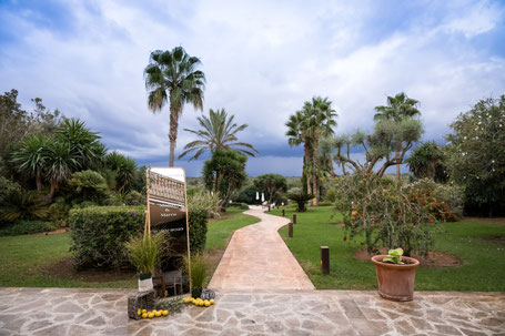 Hochzeit Mallorca Fincahochzeit Hochzeitsfotogtaf Mallorca