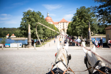 Hochzeit Fasanenschlößchen Moritzburg Hochzeitsfotograf