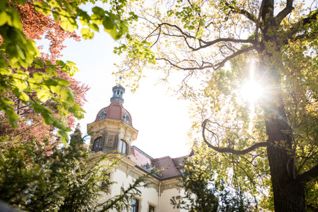 Hochzeit Standesamt Dresden