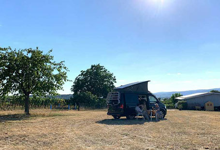 Bester Wohnmobillstellpatz in Deutschland Weingut Mett 2025