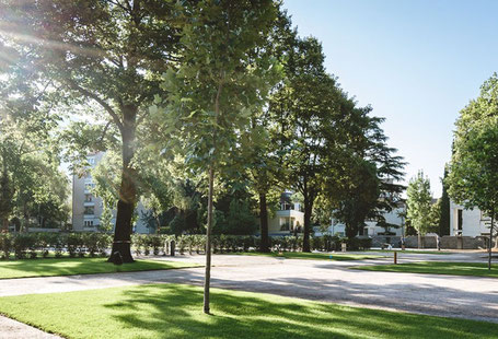 Live Merano Camping