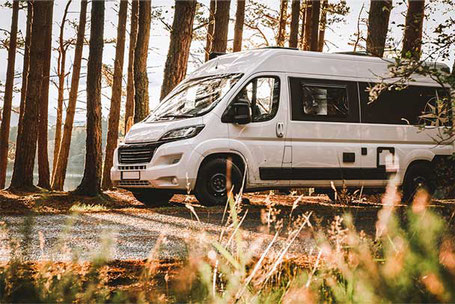 Weißer Kastenwagen mit schwarzen Fenstern fährt durch einen Wald 2025