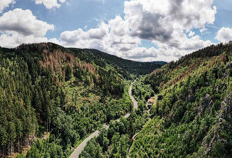 Wald im Harz von oben mit Straße im Sommer 2026