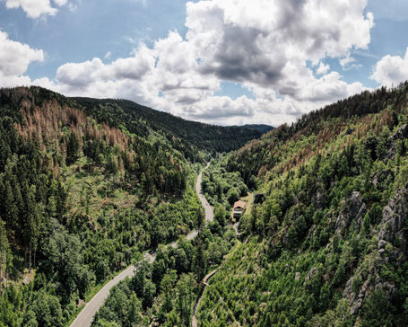 Harz als Reiseziel im Oktober mit Wohnmobil