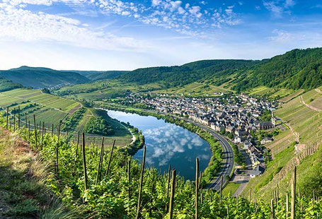 Mosel in der Eifel mit Kleinstadt im Sommer 2026