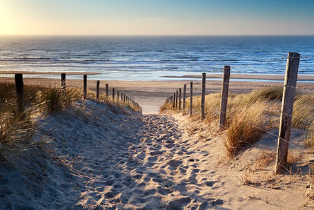 Zugang zum Strand über Dünen Campingplatz Holland am Meer 2026