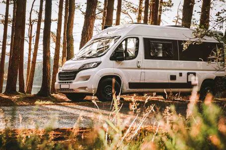 Camper Van Kastenwagen in weiß steht im Wald im Herbst 2025