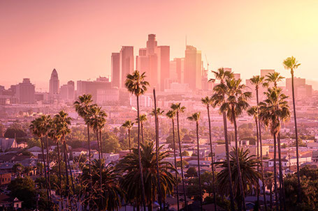 Skyline von Los Angeles mit Palmen bei Sonnenuntergang 2026