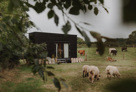 Modernes schwarzes Tiny House auf Weide 2026