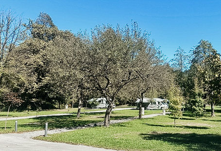 Wohnmobile auf Campingplatz Kamp Savinja