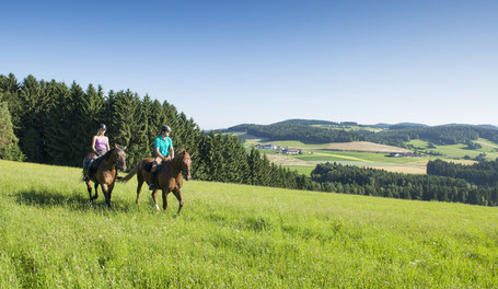 Reiten am Reiterhof Raab