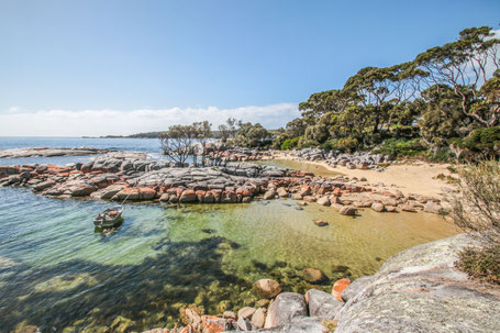 rote Flechten auf den Steinen in Binalong Bay Tasmanien