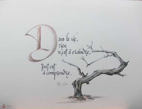 C184 - 50x65 - Encre et aquarelle 