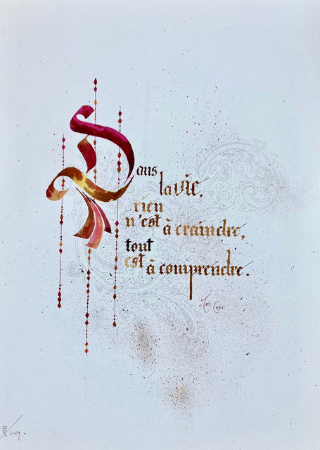 C35 - 65x50 - encre - 90€