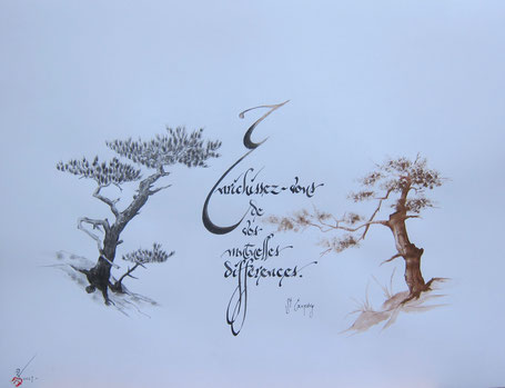 C210 - 50x65 - Encre et décors -  VENDUE
